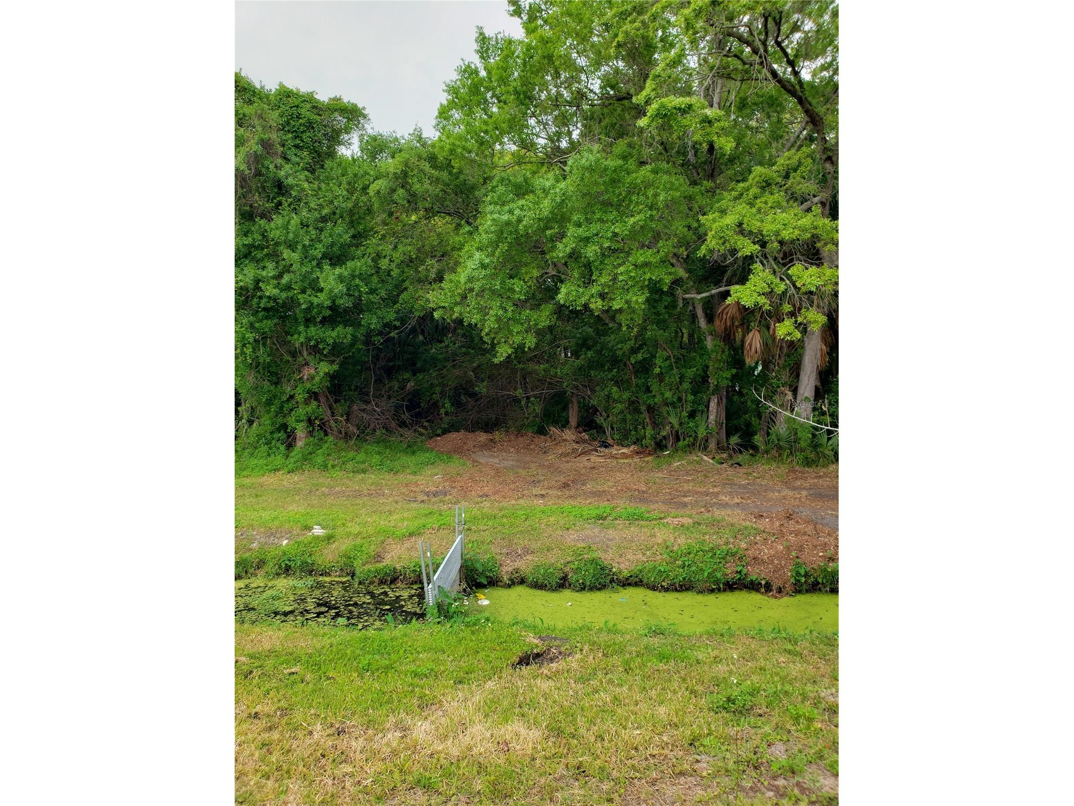 Grosse Avenue Tarpon Springs FL 34689 TB8492360 image8