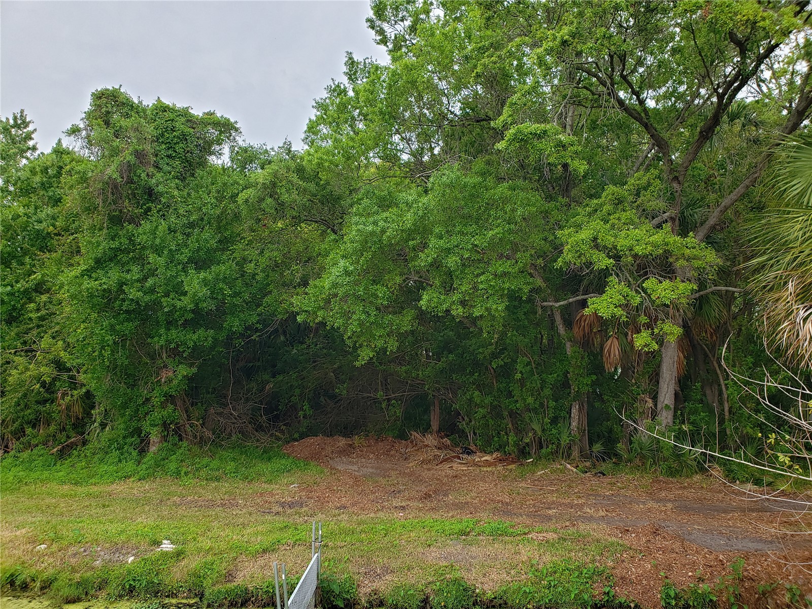 Grosse Avenue Tarpon Springs FL 34689 TB8492360 image9