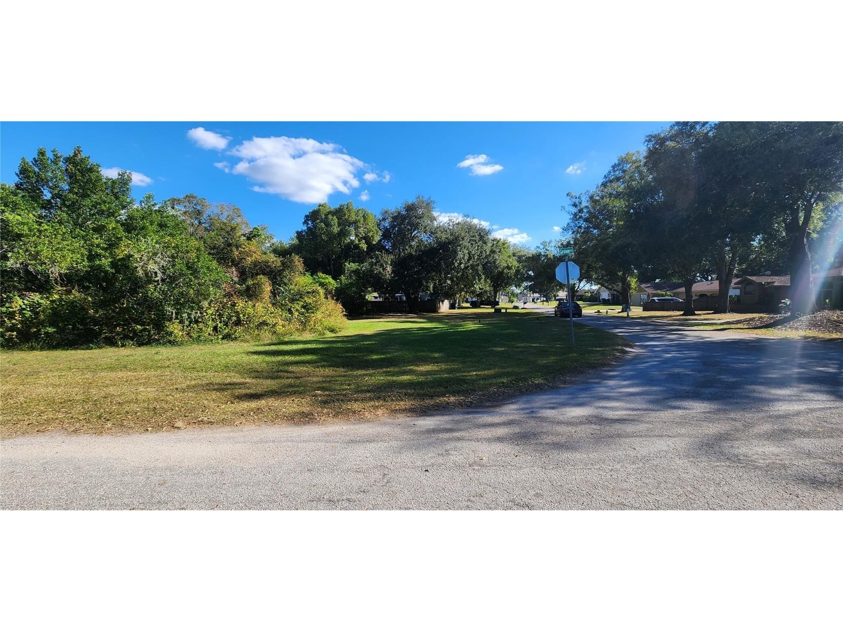 Grove Place Land O Lakes FL 34639 U8220699 image1