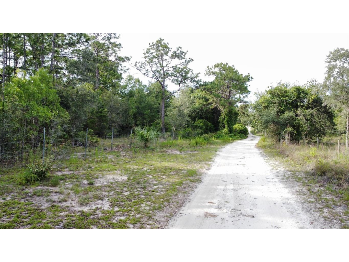 Grove Road Brooksville FL 34613 W7855580 image1