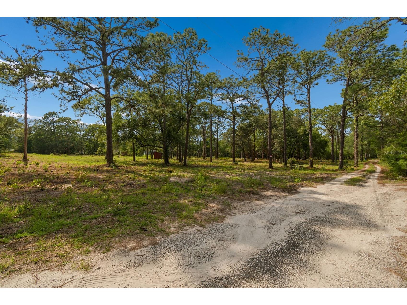 Grove Road Brooksville FL 34613 TB8513526 image1