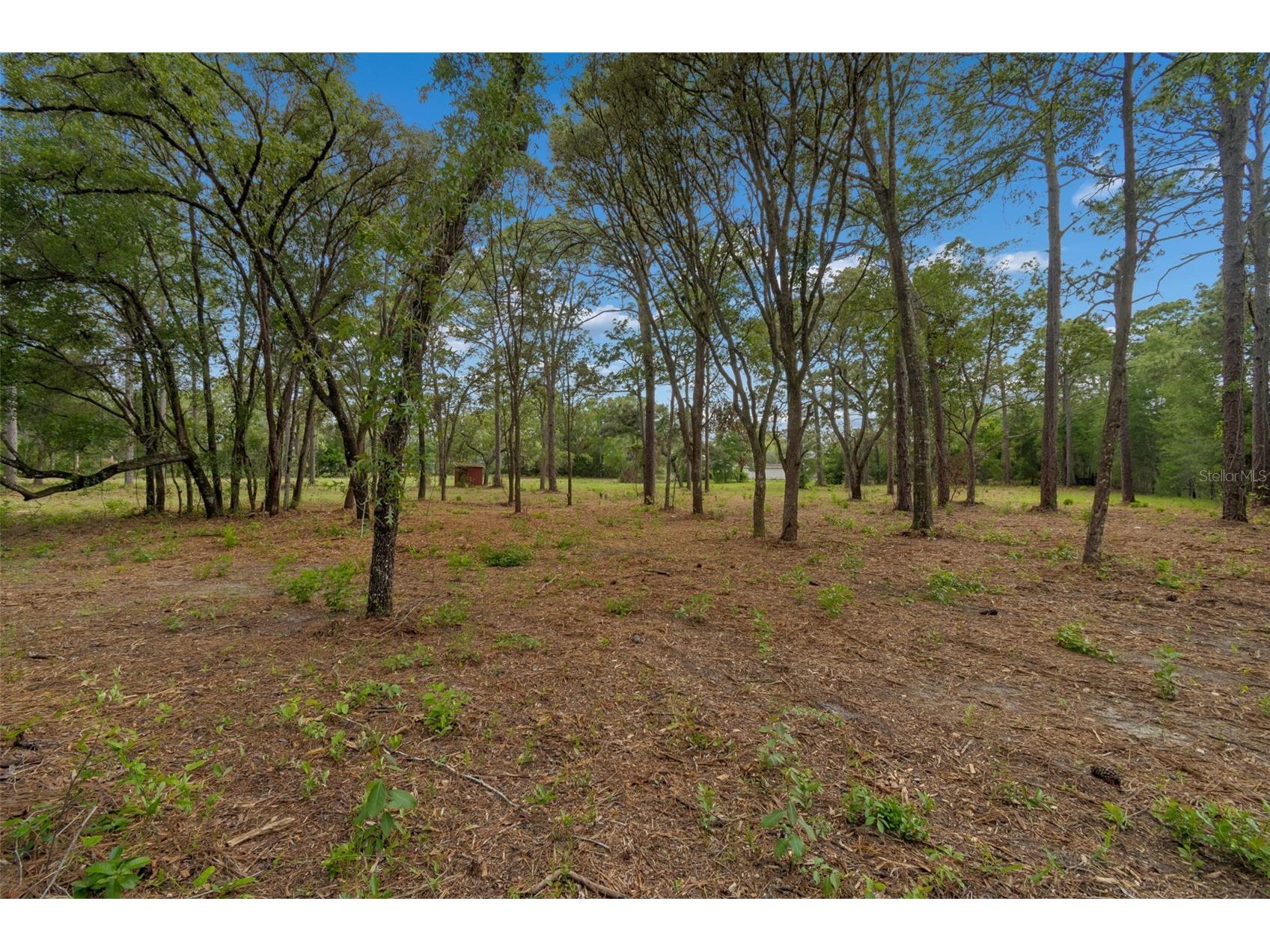 Grove Road Brooksville FL 34613 TB8513526 image10