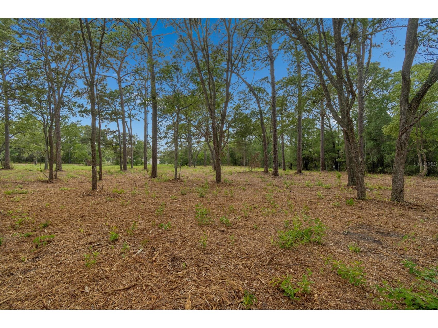 Grove Road Brooksville FL 34613 TB8513526 image11