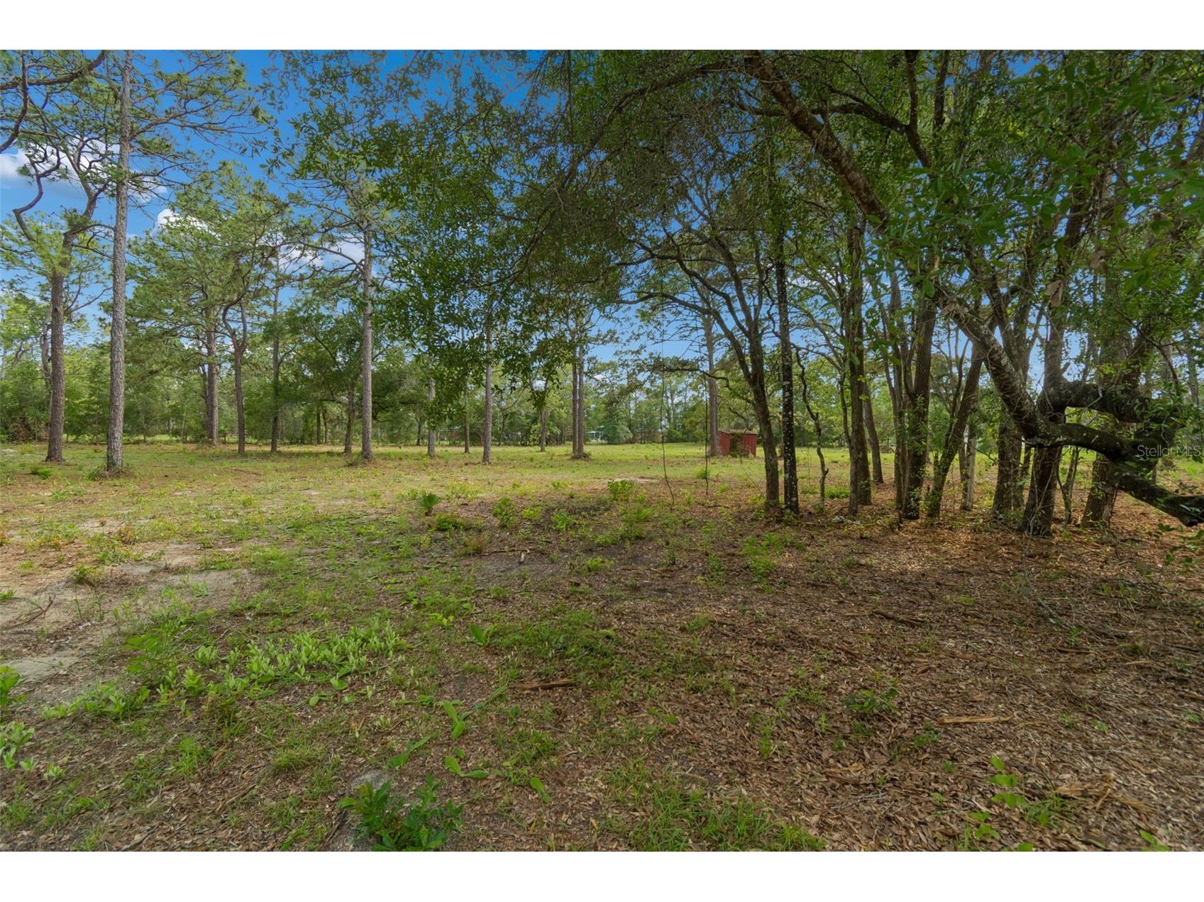 Grove Road Brooksville FL 34613 TB8513526 image12