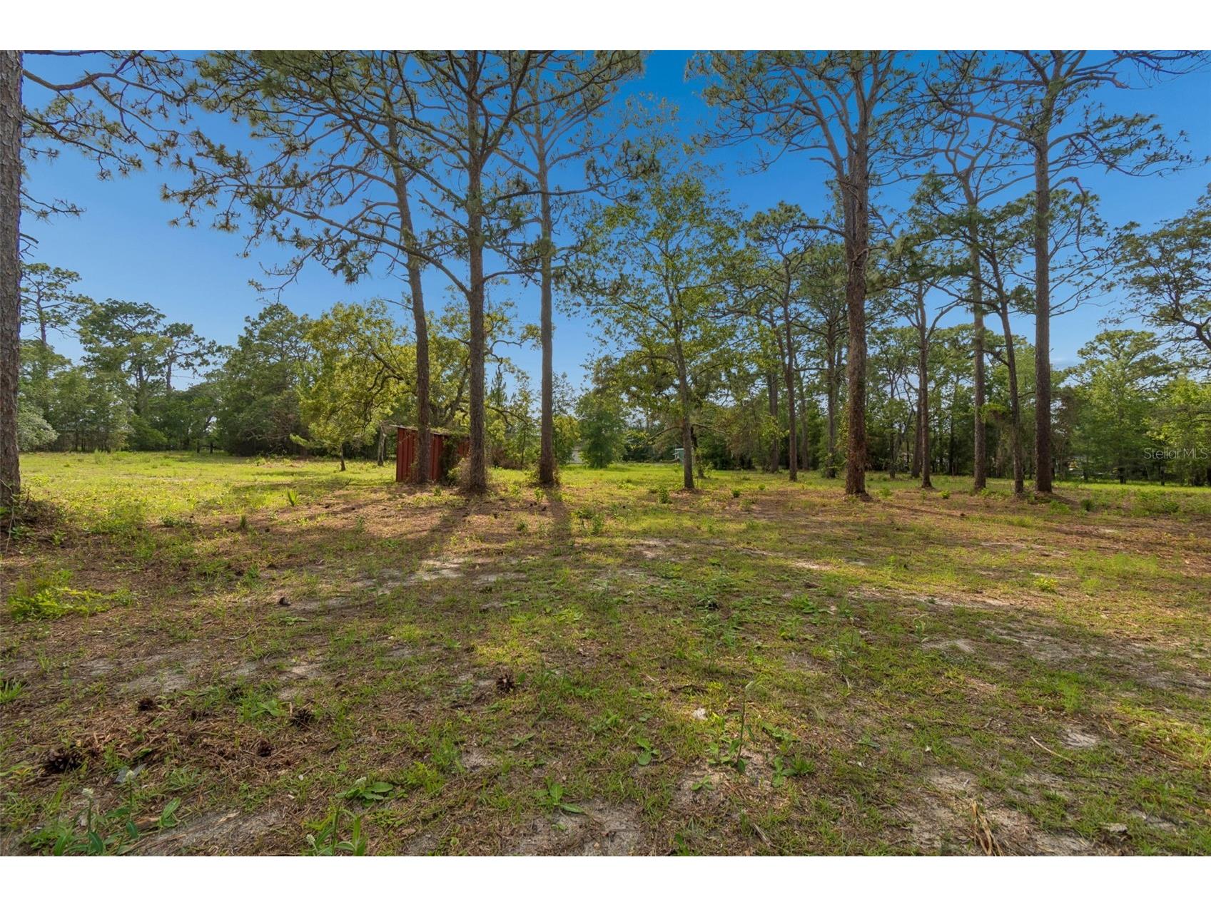 Grove Road Brooksville FL 34613 TB8513526 image13