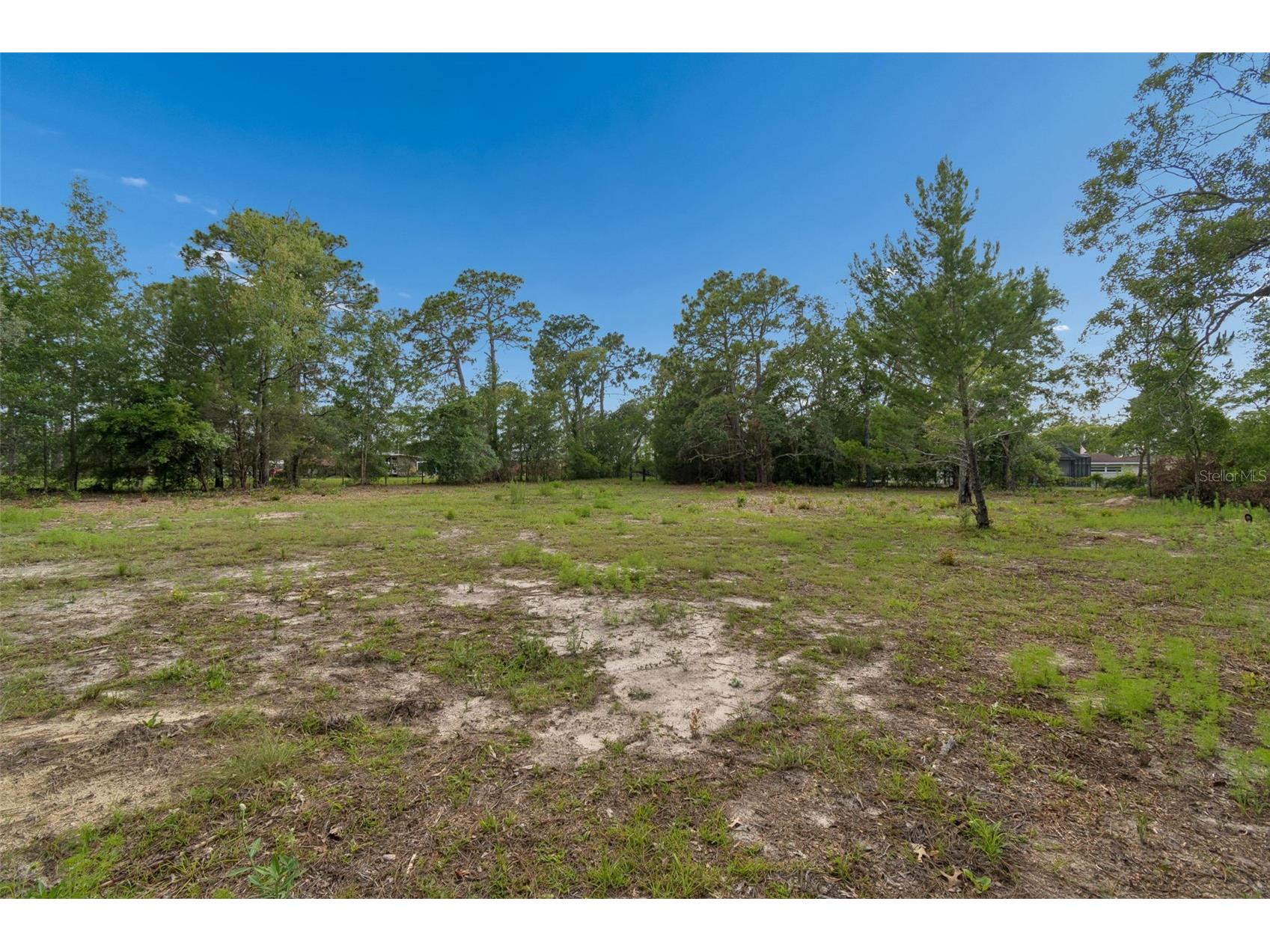 Grove Road Brooksville FL 34613 TB8513526 image14