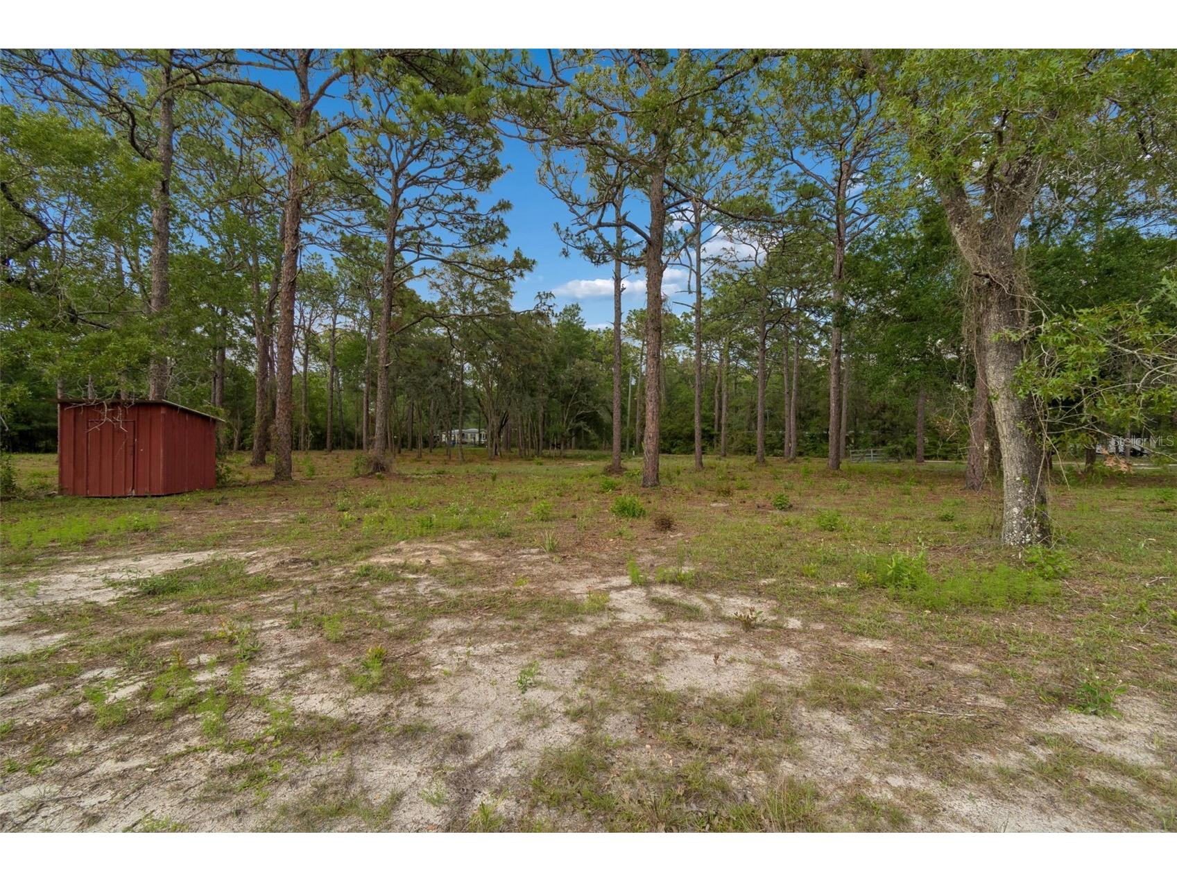 Grove Road Brooksville FL 34613 TB8513526 image15