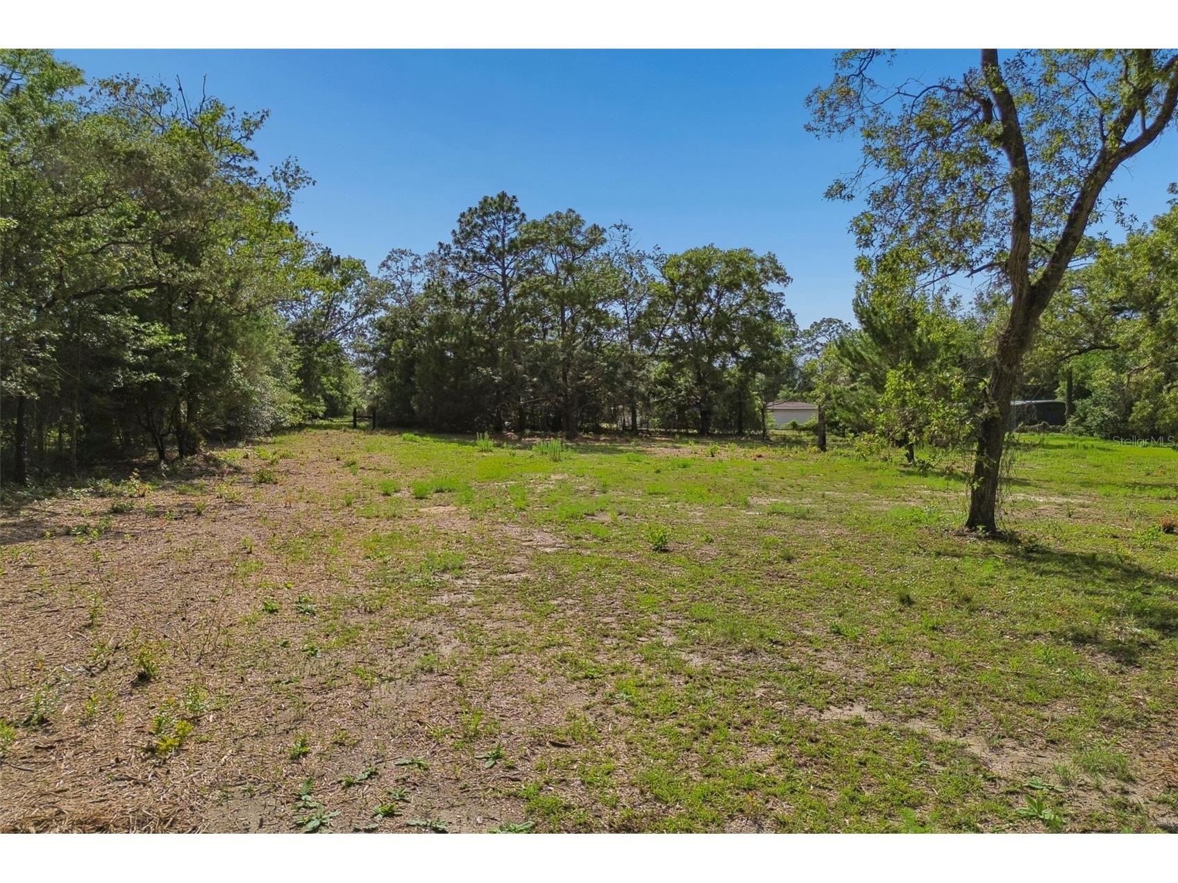Grove Road Brooksville FL 34613 TB8513526 image16