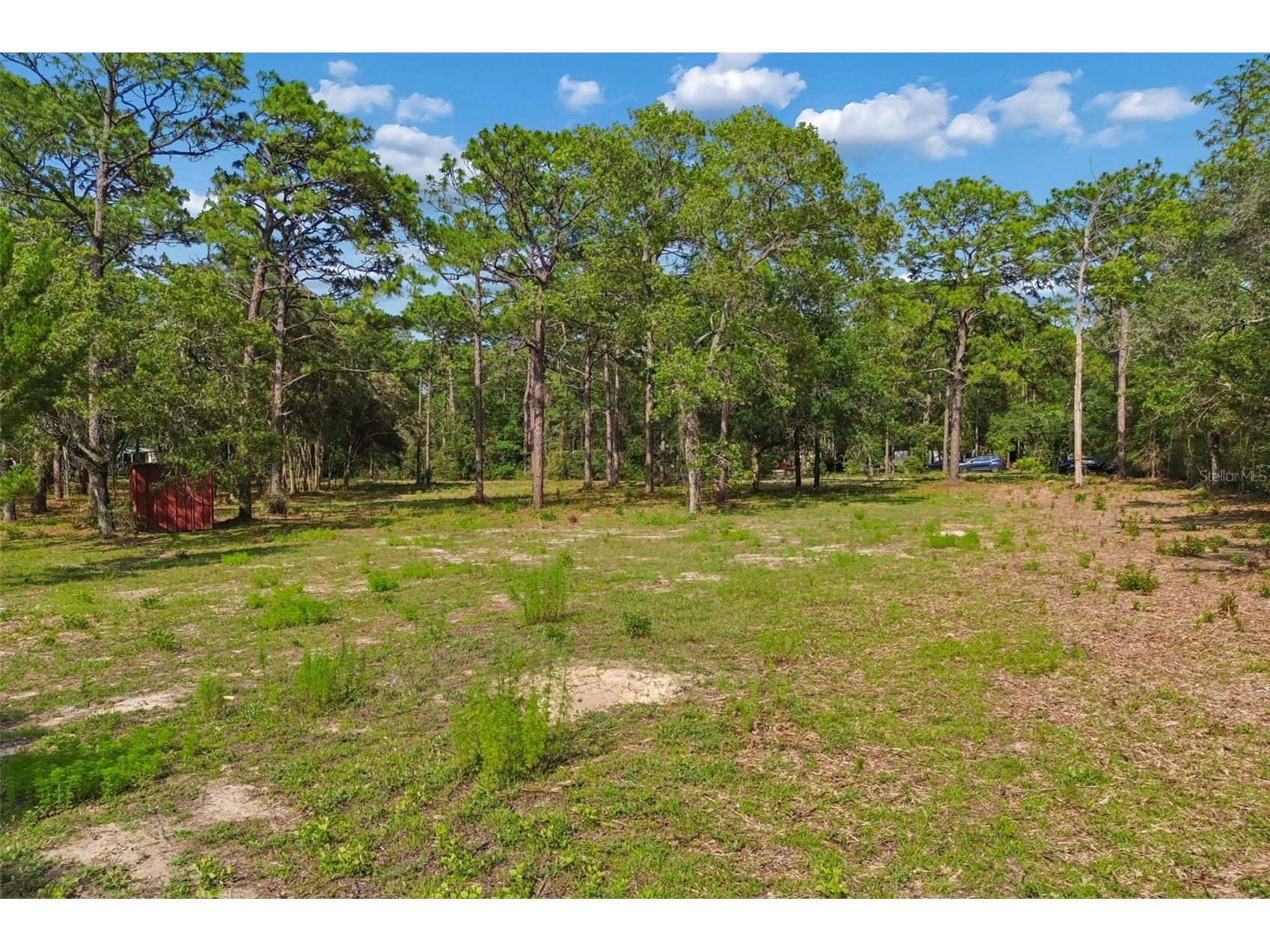 Grove Road Brooksville FL 34613 TB8513526 image17