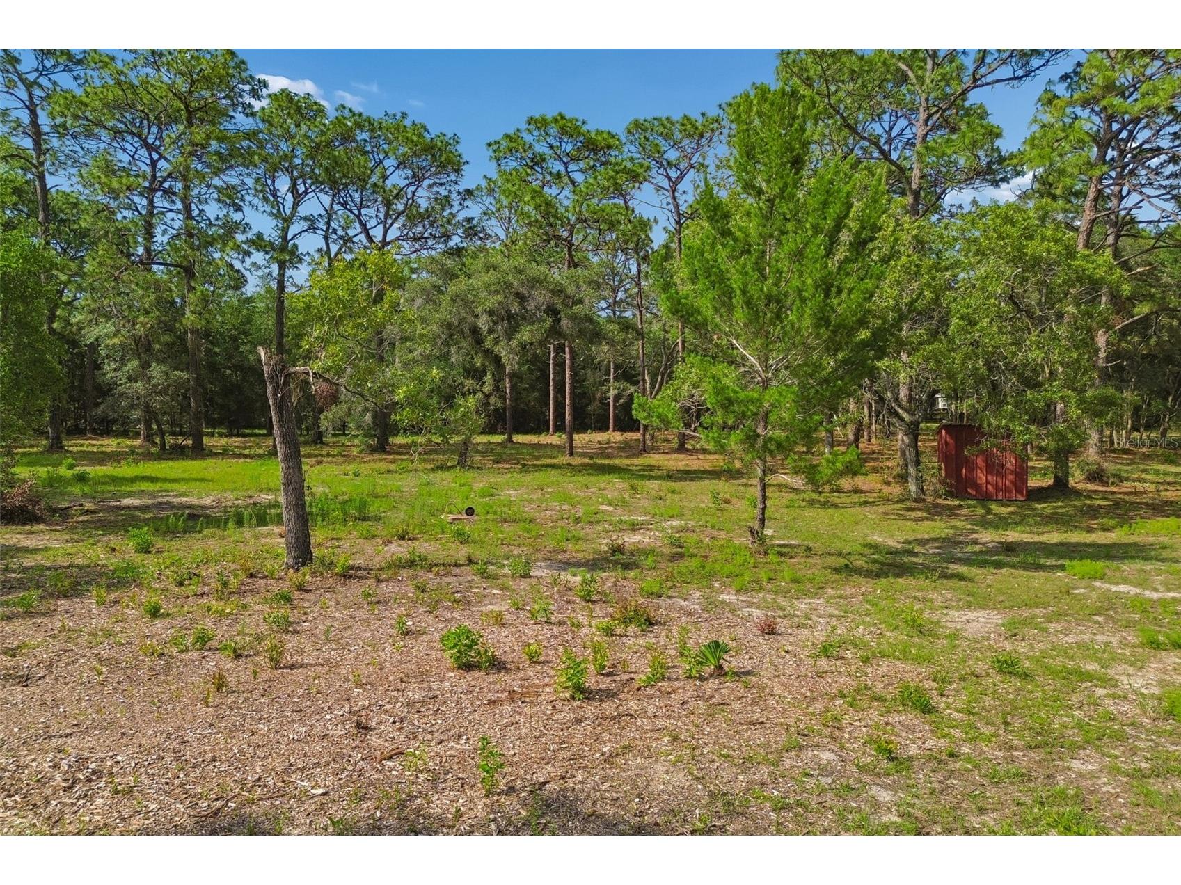 Grove Road Brooksville FL 34613 TB8513526 image19