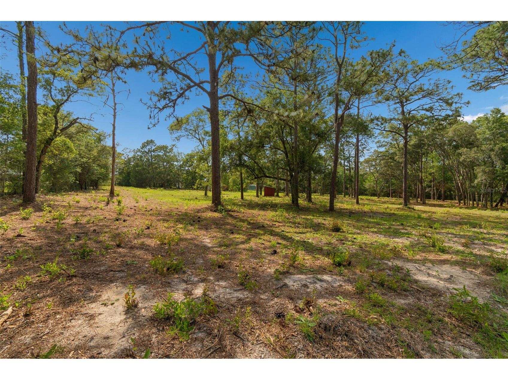 Grove Road Brooksville FL 34613 TB8513526 image2