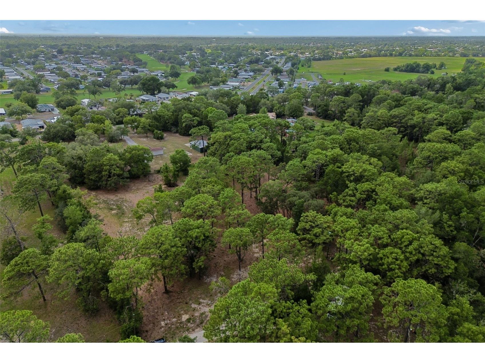 Grove Road Brooksville FL 34613 TB8513526 image21