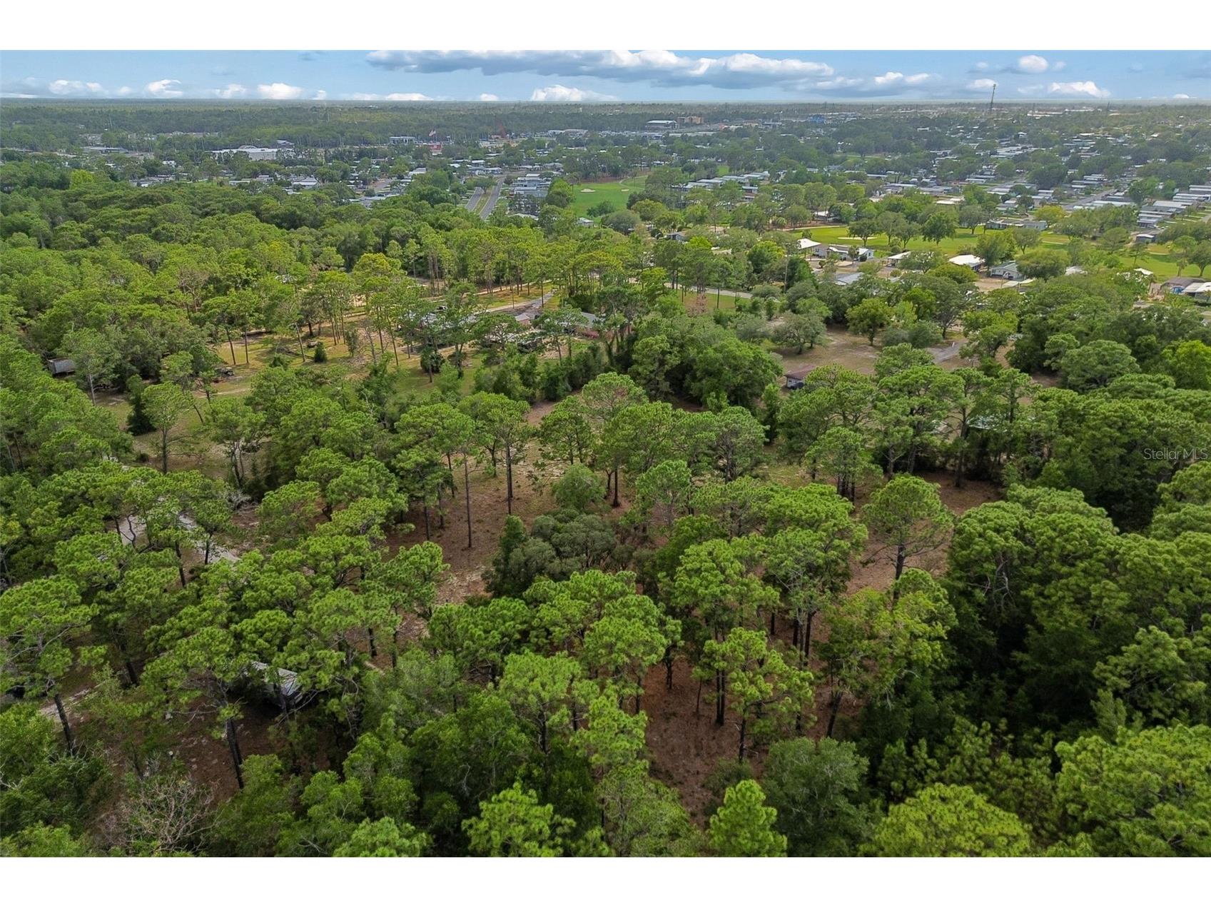 Grove Road Brooksville FL 34613 TB8513526 image23