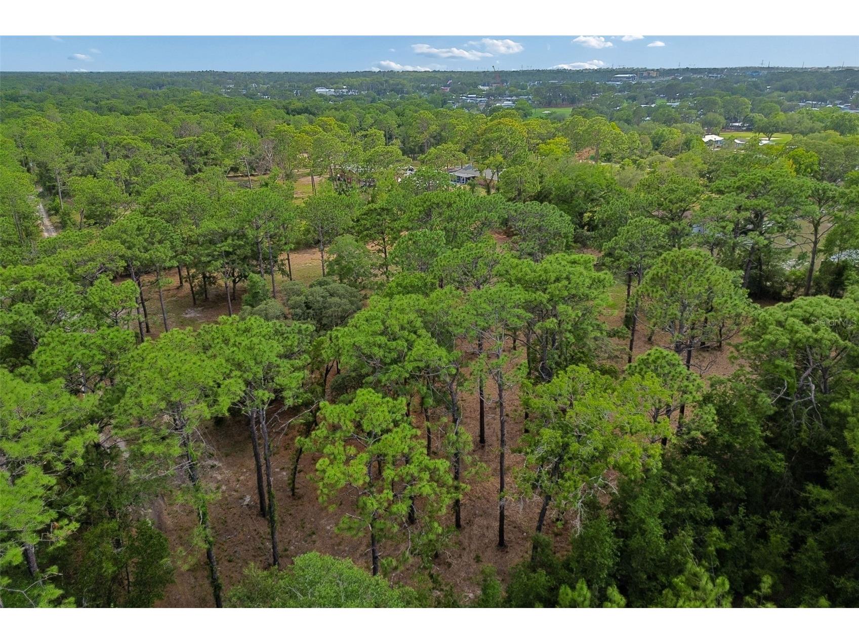 Grove Road Brooksville FL 34613 TB8513526 image24