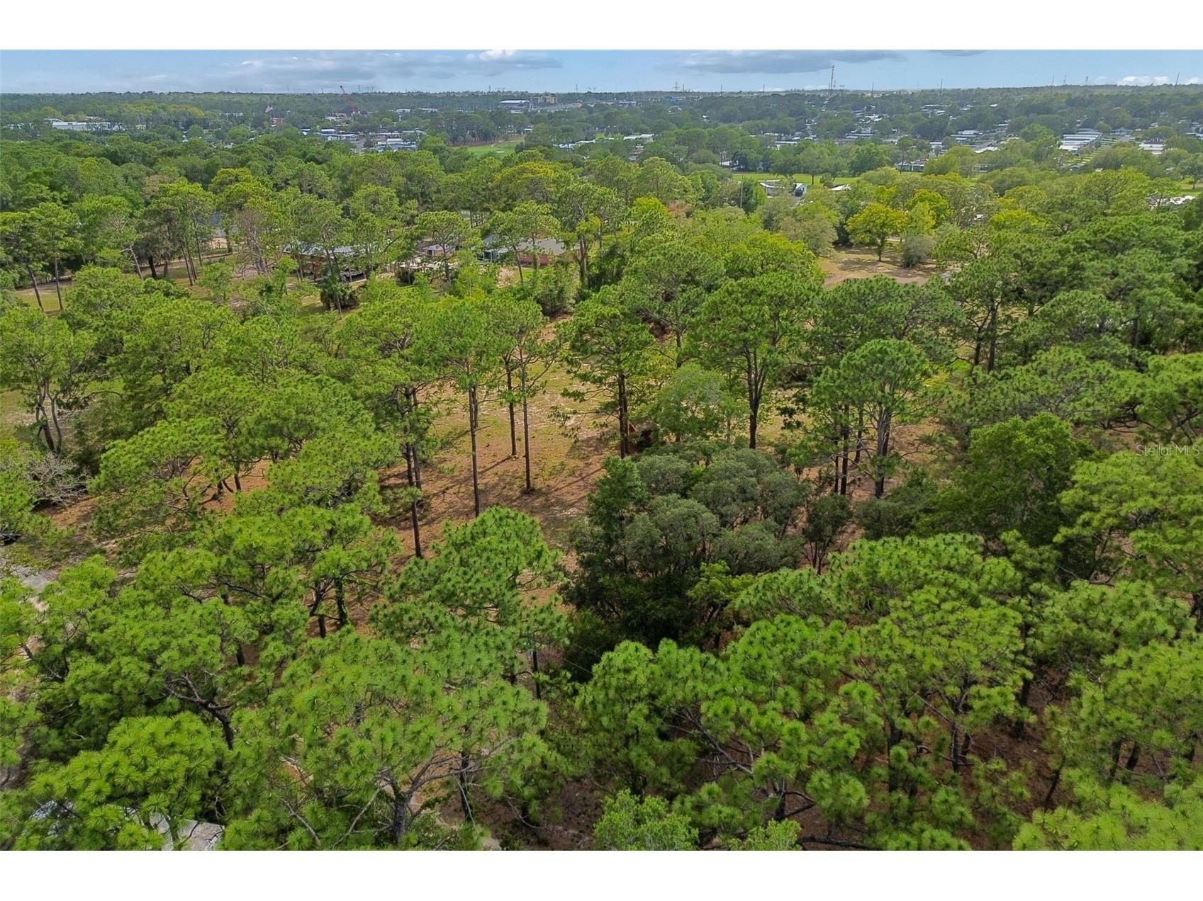 Grove Road Brooksville FL 34613 TB8513526 image25