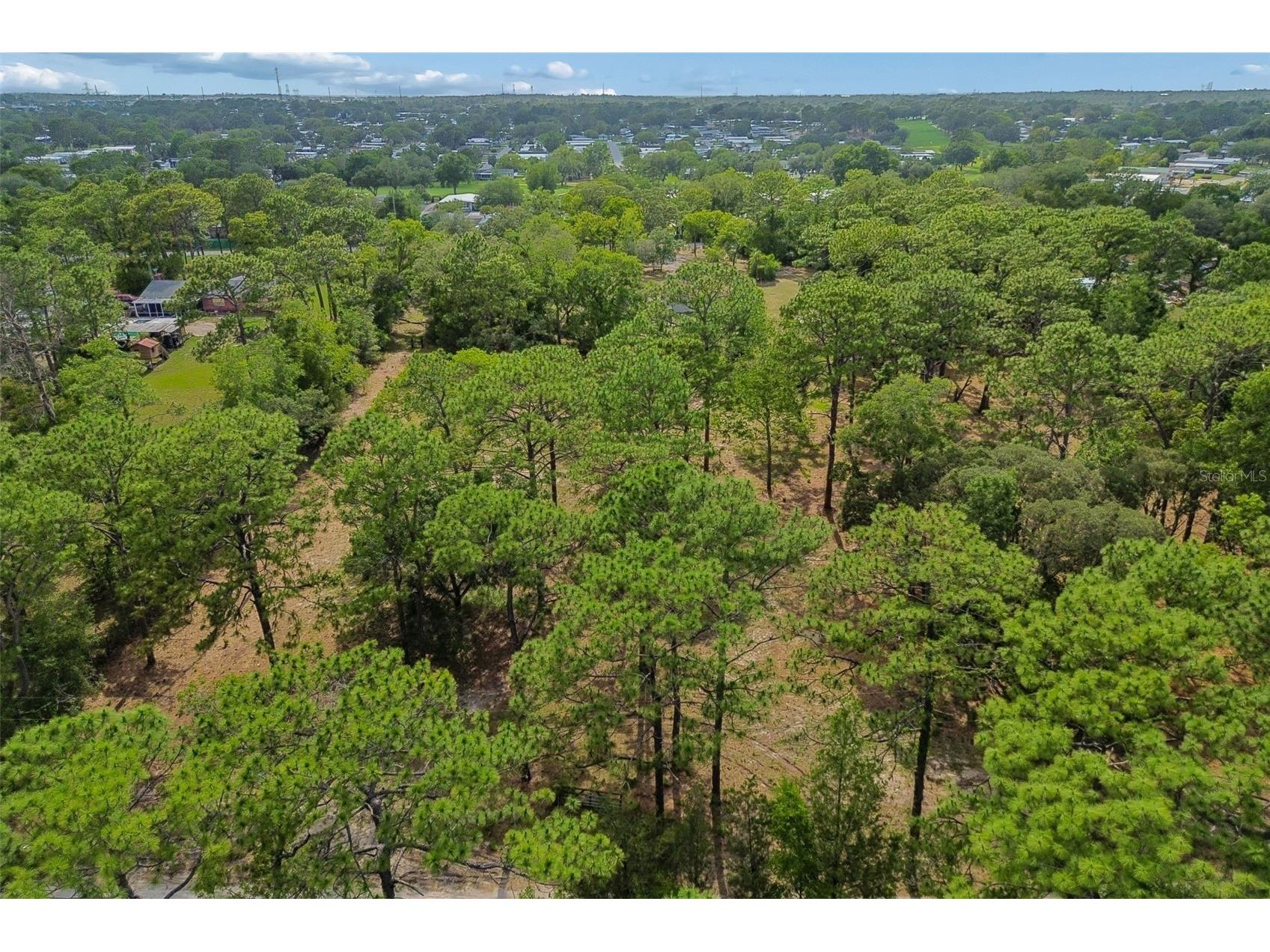 Grove Road Brooksville FL 34613 TB8513526 image26