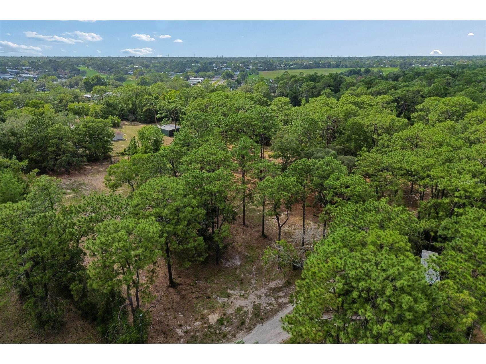 Grove Road Brooksville FL 34613 TB8513526 image27