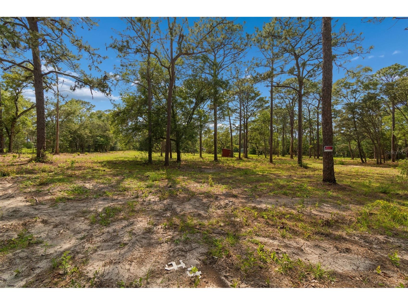 Grove Road Brooksville FL 34613 TB8513526 image3