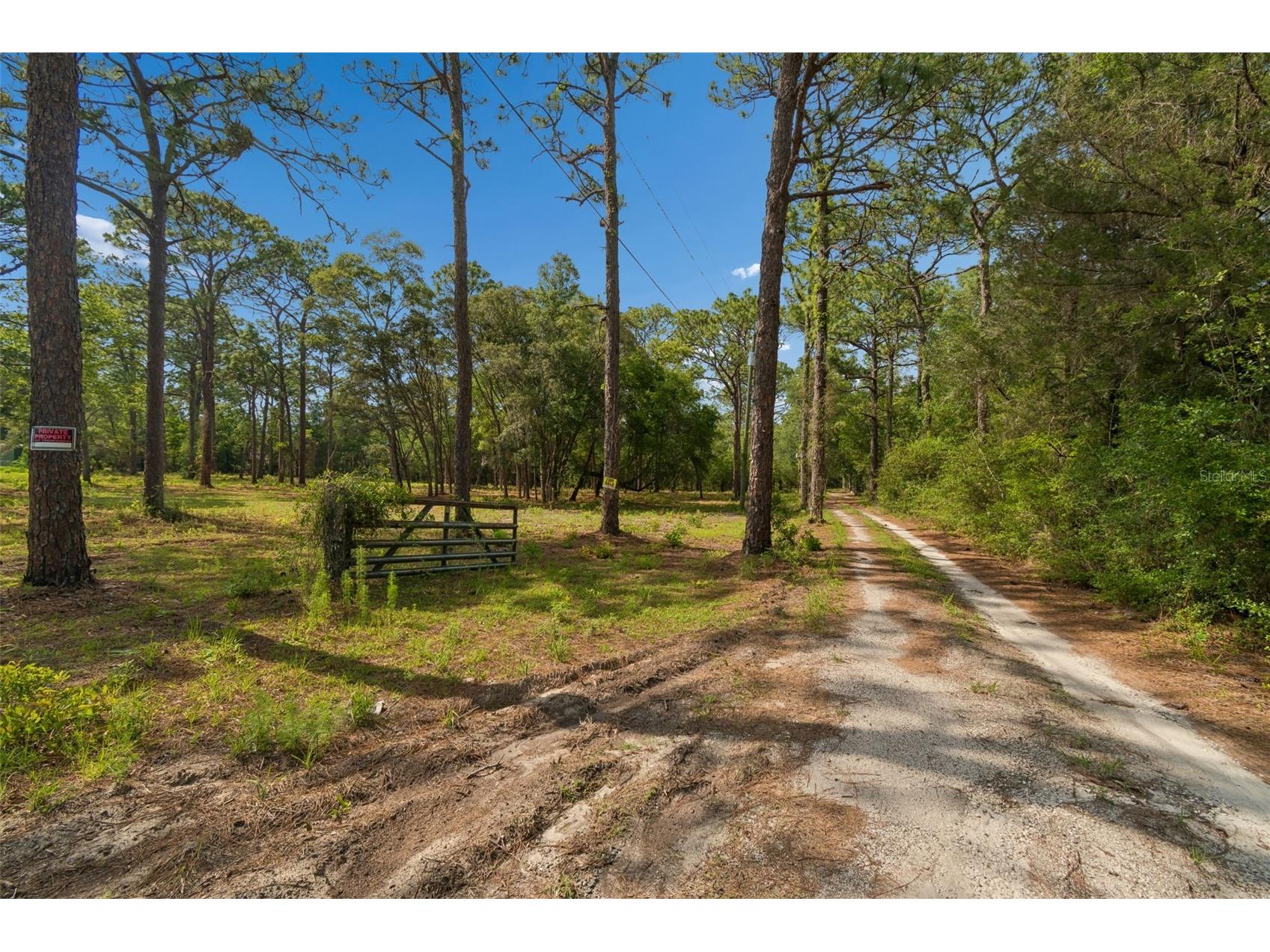 Grove Road Brooksville FL 34613 TB8513526 image4