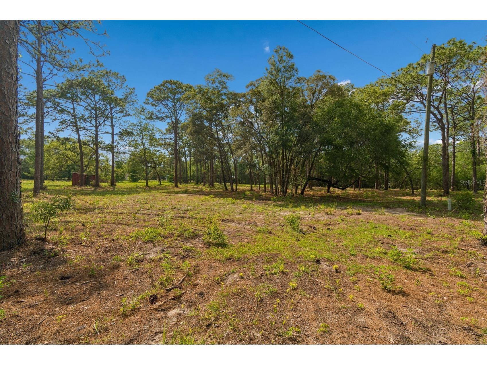 Grove Road Brooksville FL 34613 TB8513526 image5