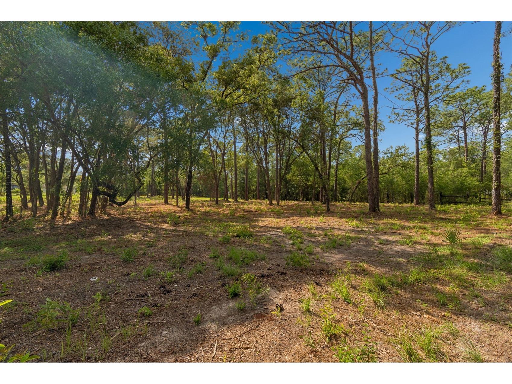 Grove Road Brooksville FL 34613 TB8513526 image6