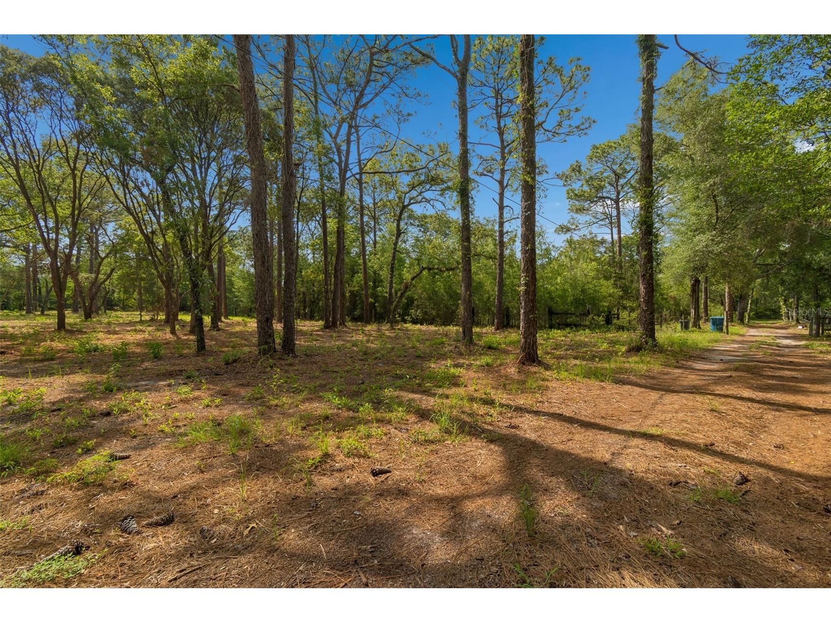Grove Road Brooksville FL 34613 TB8513526 image7