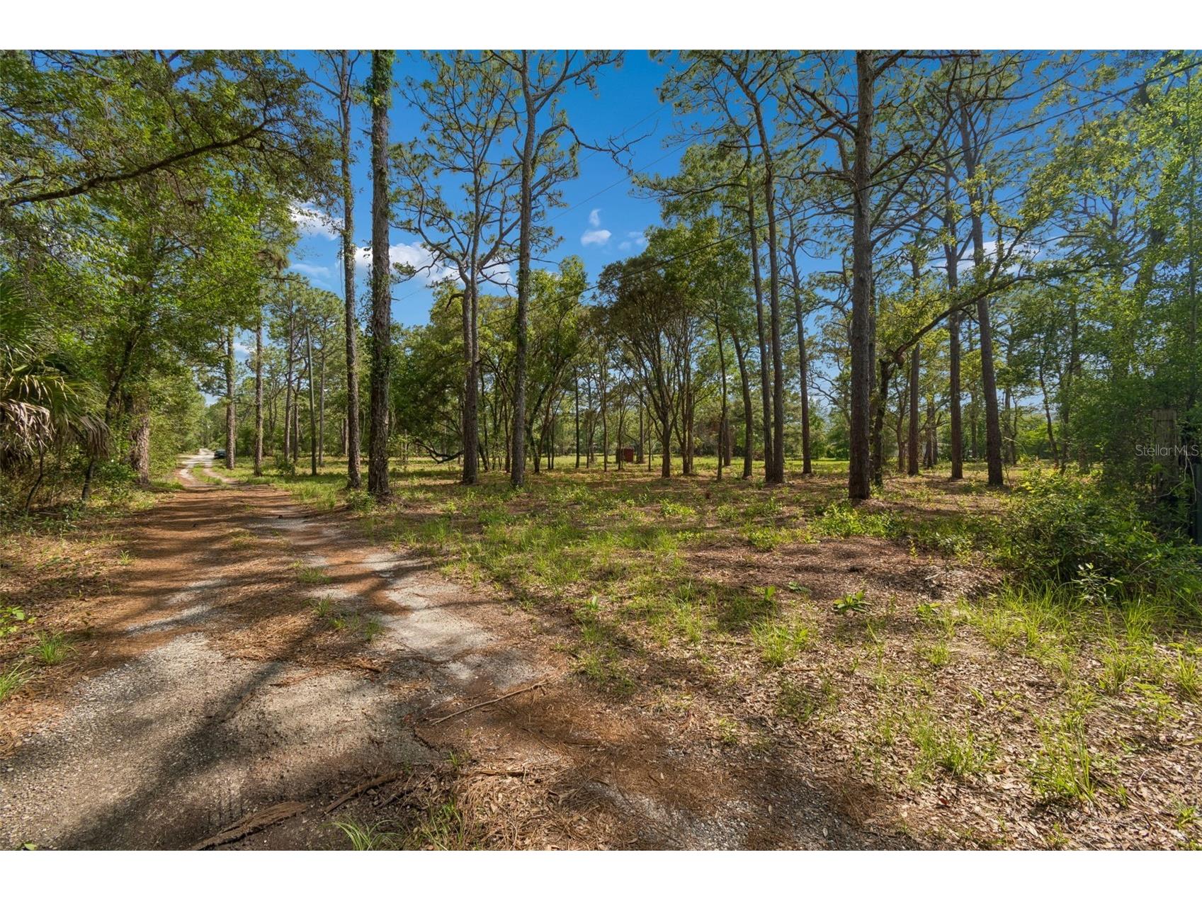 Grove Road Brooksville FL 34613 TB8513526 image8