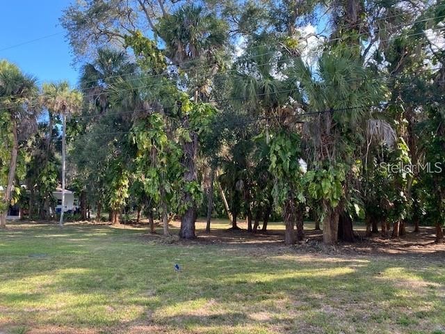 Groveland Avenue Venice FL 34285 N6127077 image1