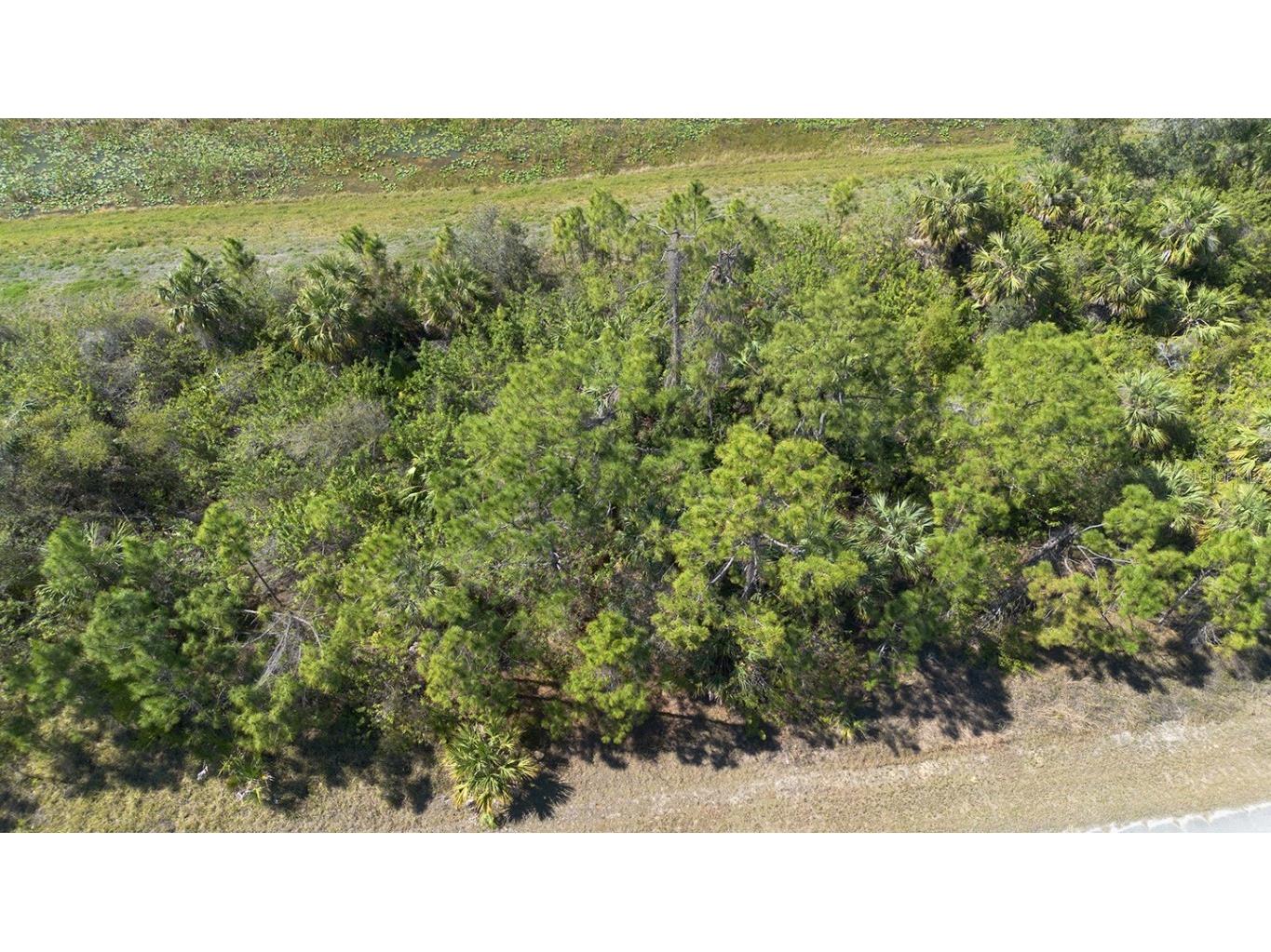 Grover Circle North Port FL 34288 C7505035 image3