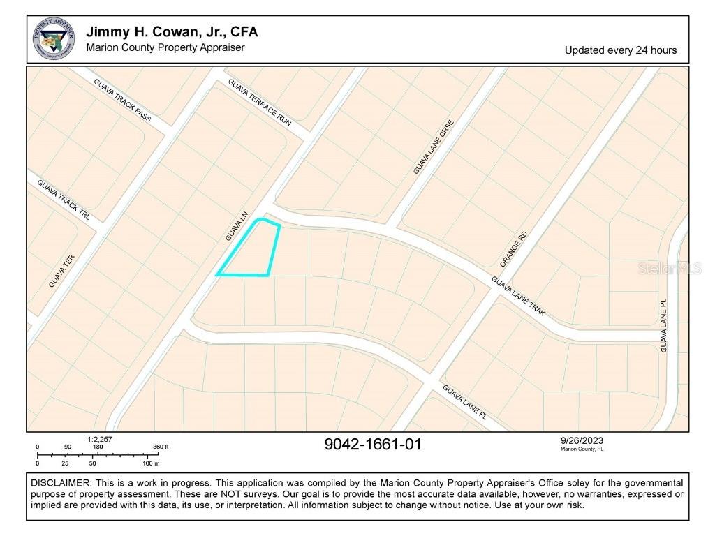Guava Lane Ocklawaha FL 32179 V4932497 image1