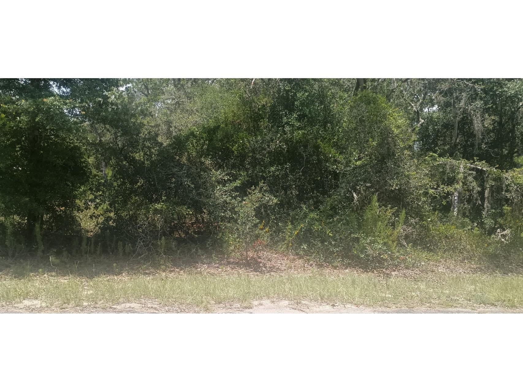 Guava Pass Crossing #5 Ocklawaha FL 32179 OM707357 image2