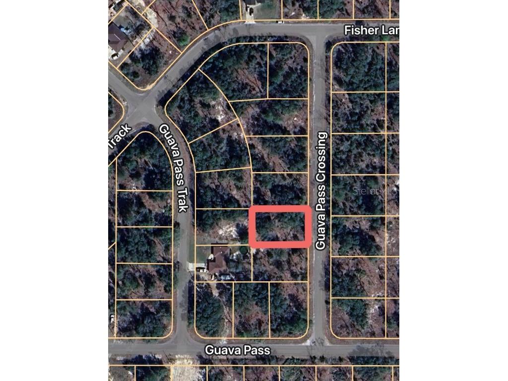 Guava Pass Crossing #5 Ocklawaha FL 32179 OM707357 image3