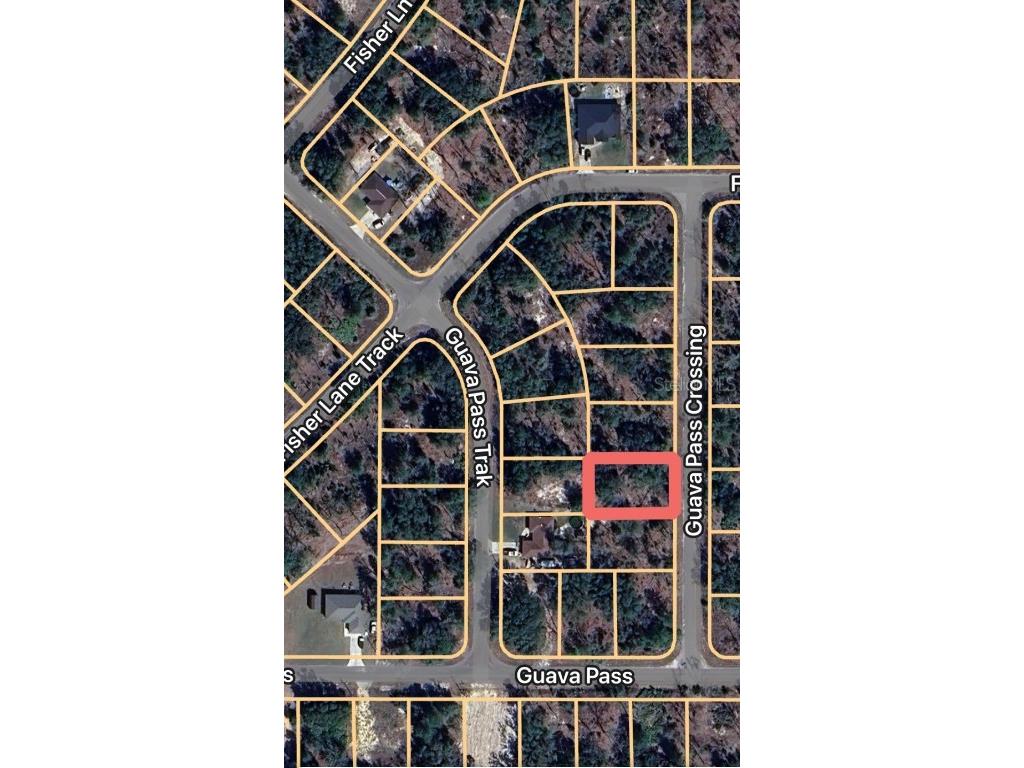 Guava Pass Crossing #5 Ocklawaha FL 32179 OM707357 image5