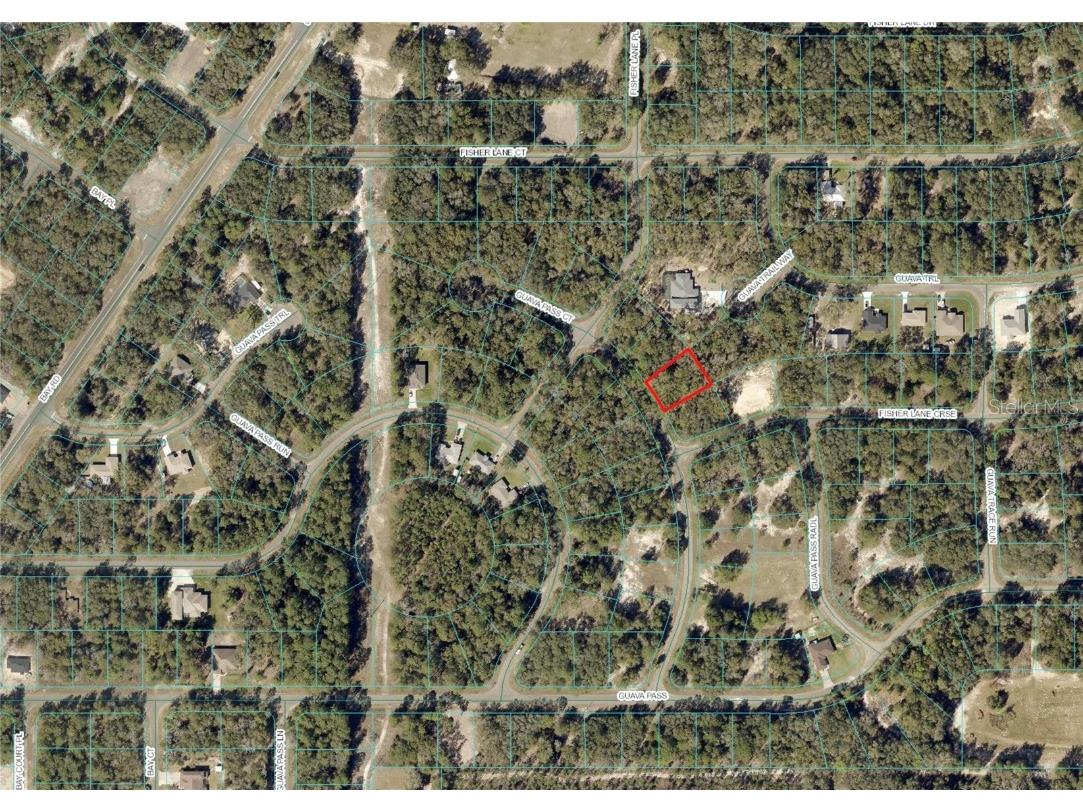 Guava Pass Ct Ocklawaha FL 32179 OM693141 image1