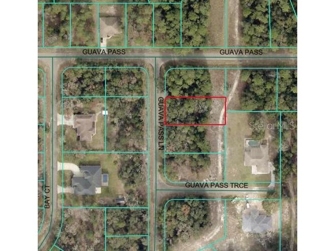 Guava Pass Lane Ocklawaha FL 32179 OM709243 image1