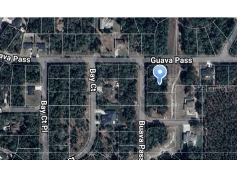 Guava Pass Lane Ocklawaha FL 32179 OM709243 image2