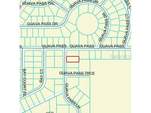 Guava Pass Lane Ocklawaha FL 32179 OM709243 image3