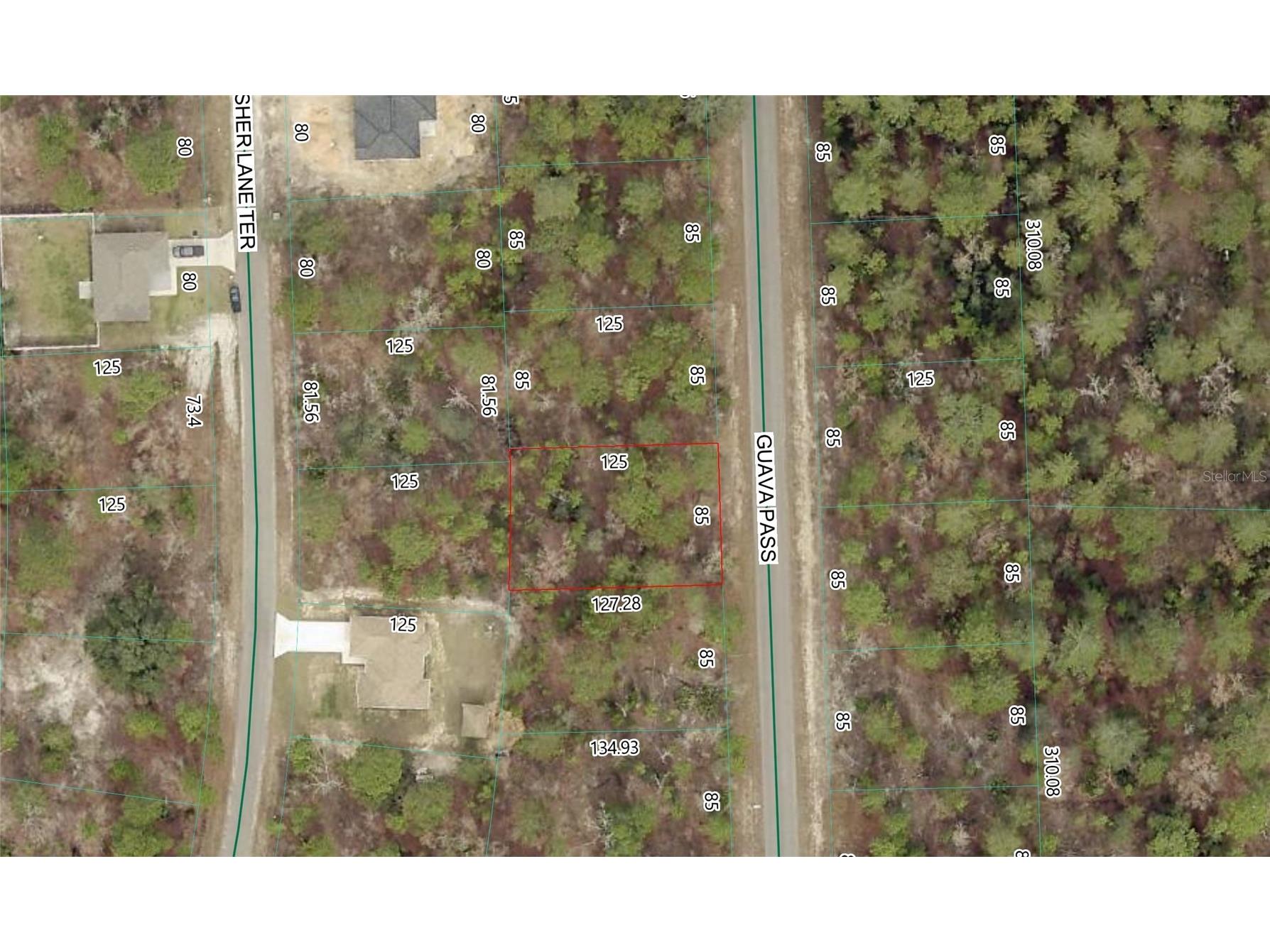 Guava Pass Lot 10 Ocklawaha FL 32179 P4938852 image1