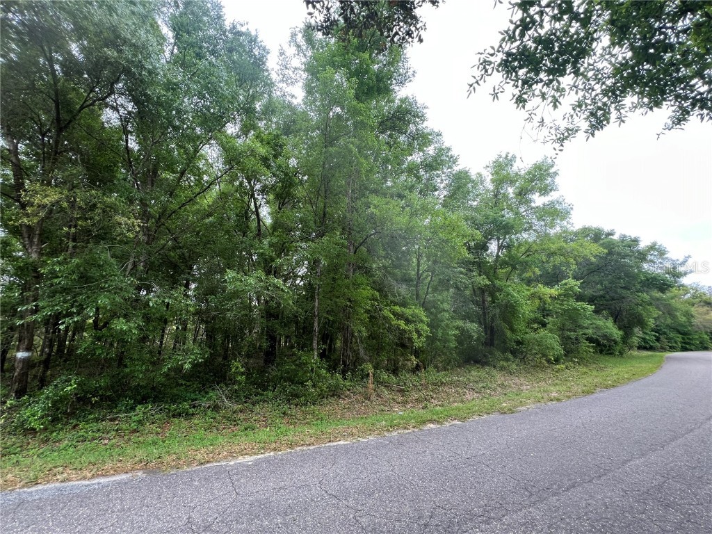 Guava Pass Ocklawaha FL 32179 O6190670 image1