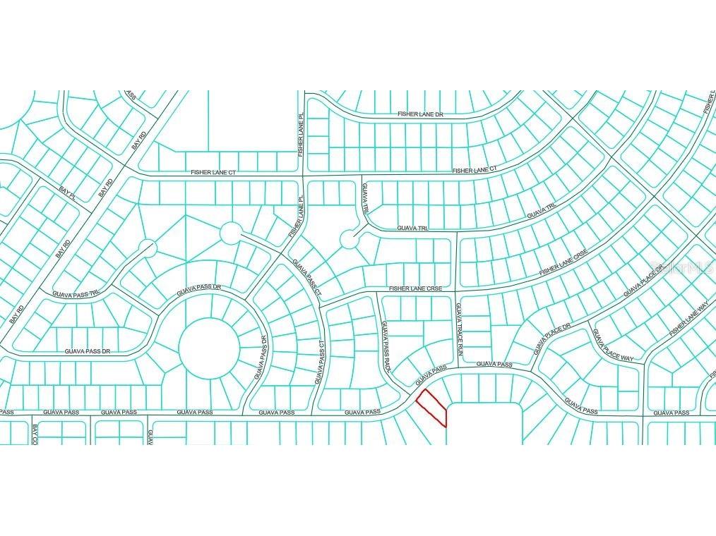 Guava Pass Ocklawaha FL 32179 O6336159 image1