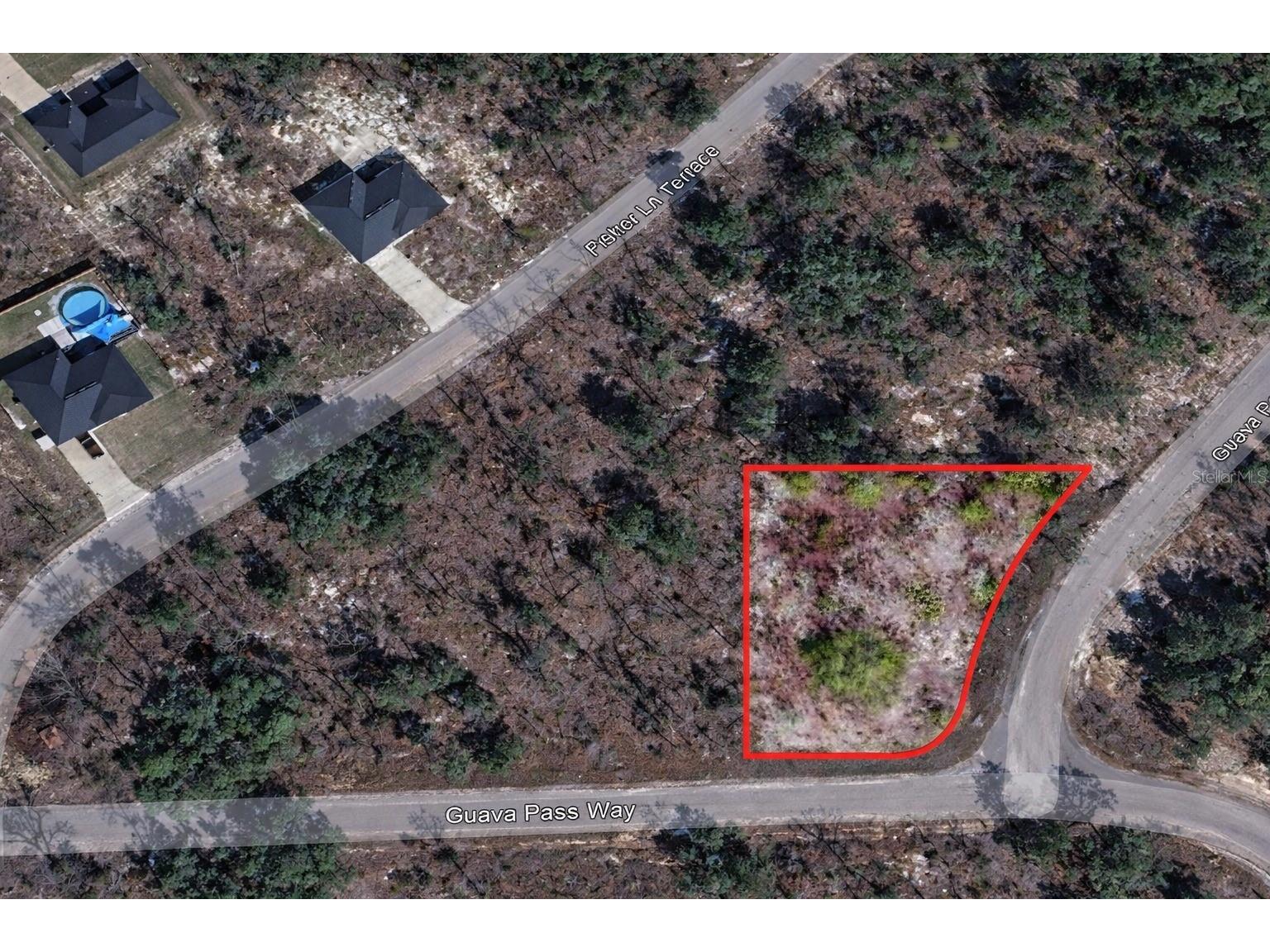 Guava Pass Pl Ocklawaha FL 32179 O6388148 image1