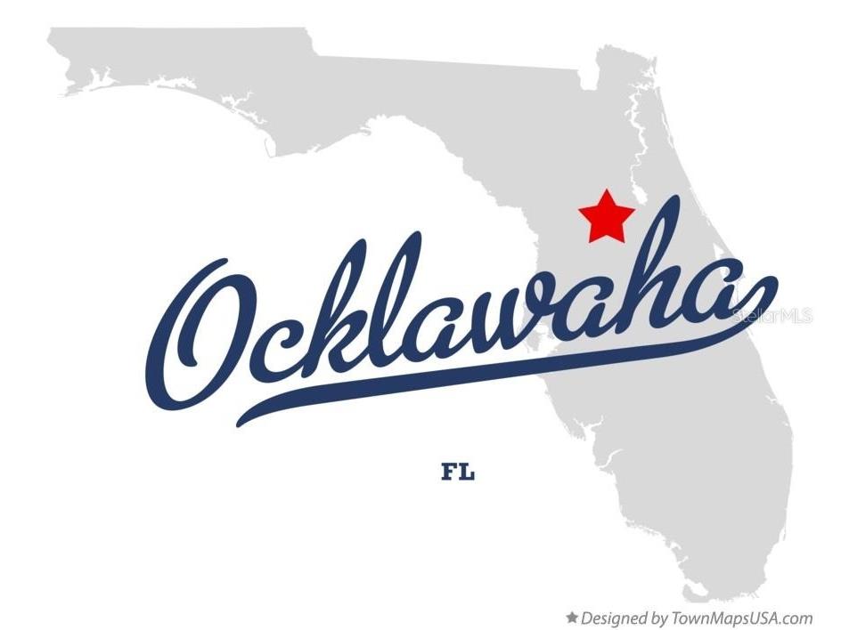 Guava Pass Pl Ocklawaha FL 32179 O6388148 image3