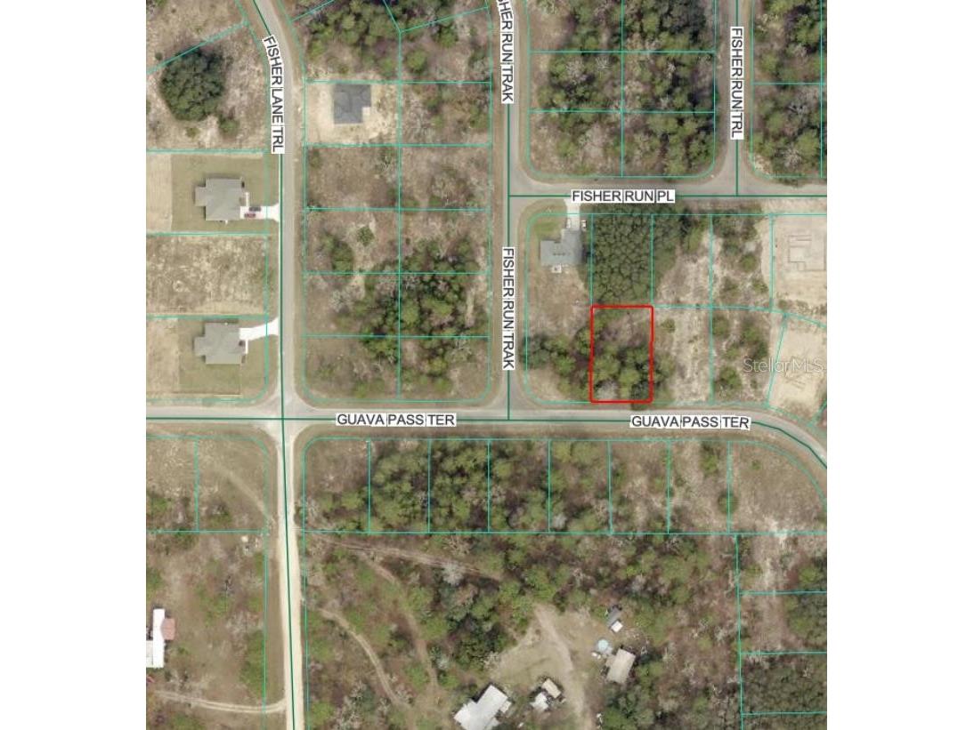 Guava Pass Terrace Ocklawaha FL 32179 TB8505233 image1