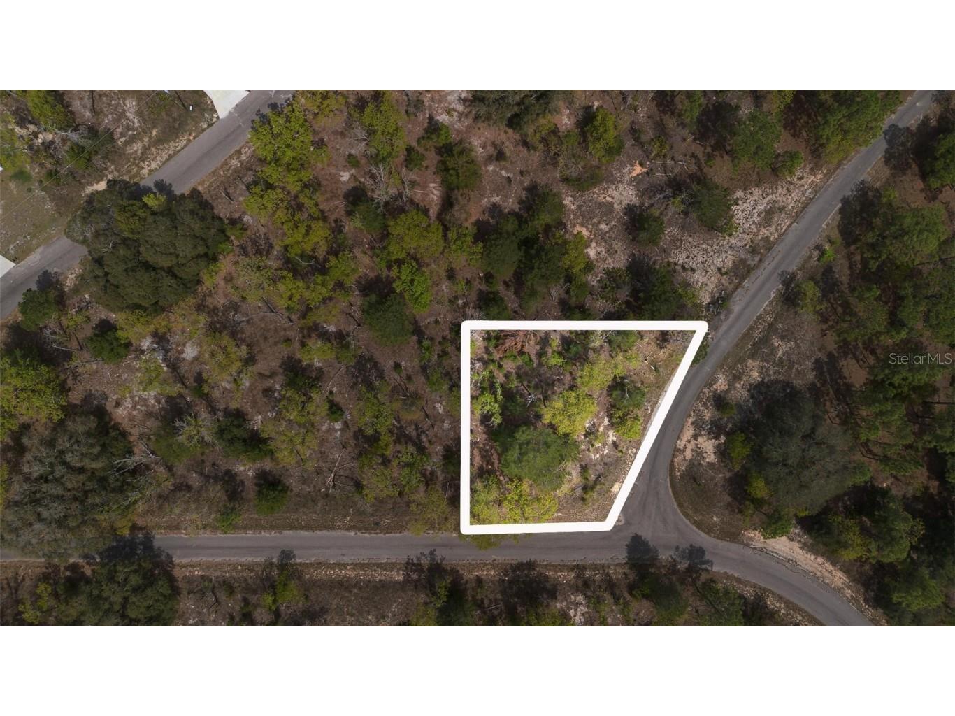 Guava Pass Way Ocklawaha FL 32179 O6240045 image1