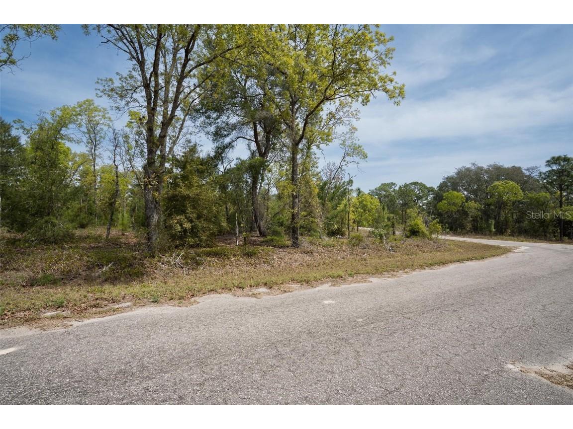 Guava Pass Way Ocklawaha FL 32179 O6240045 image10