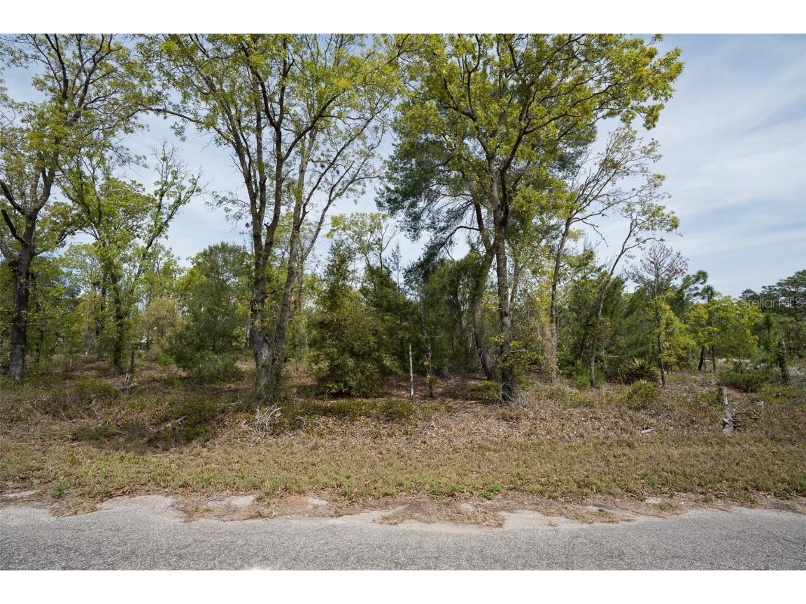 Guava Pass Way Ocklawaha FL 32179 O6240045 image11