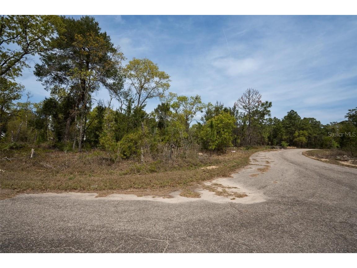 Guava Pass Way Ocklawaha FL 32179 O6240045 image12