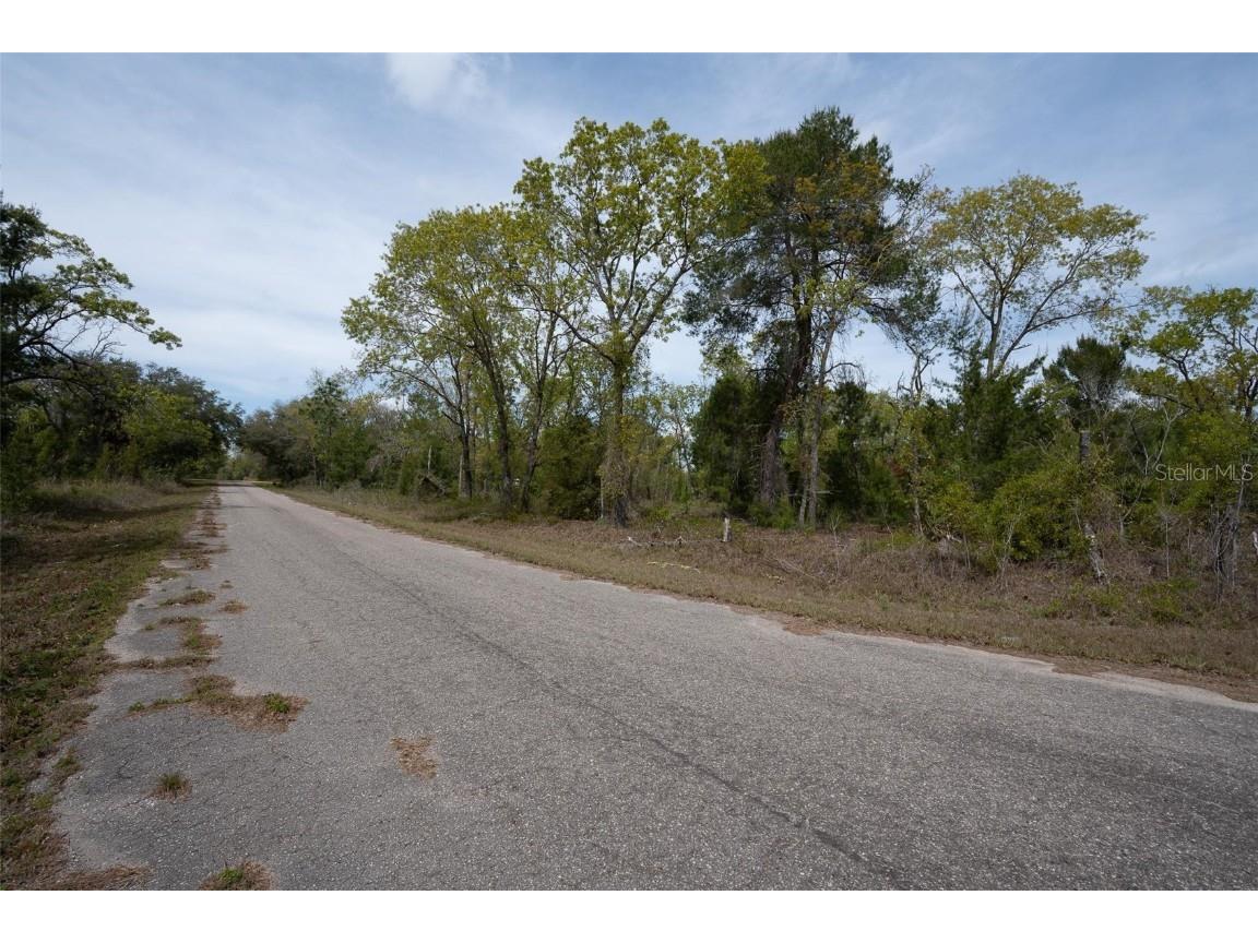 Guava Pass Way Ocklawaha FL 32179 O6240045 image13