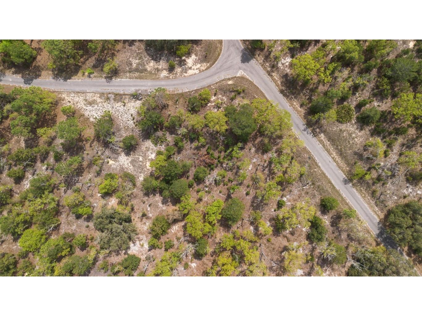 Guava Pass Way Ocklawaha FL 32179 O6240045 image14