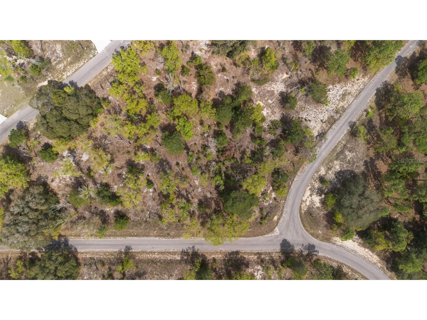 Guava Pass Way Ocklawaha FL 32179 O6240045 image15